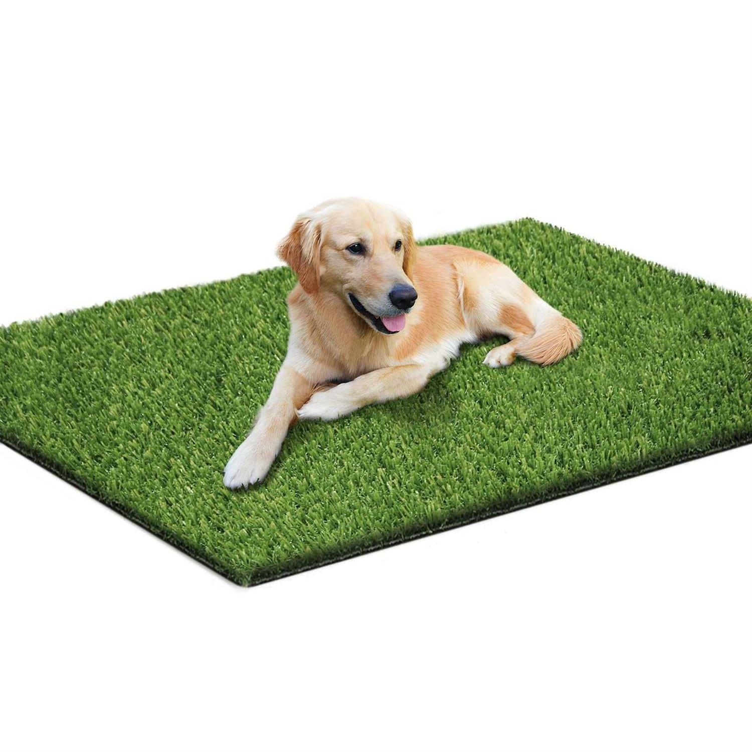 Loytryal 39.4 x 31.5 Inches Fake Grass Pee for Dogs Artificial Grass Rug Turf for Puppy Potty Training Washable Grass Mat Pee Grass for Dog Potty - Healthber