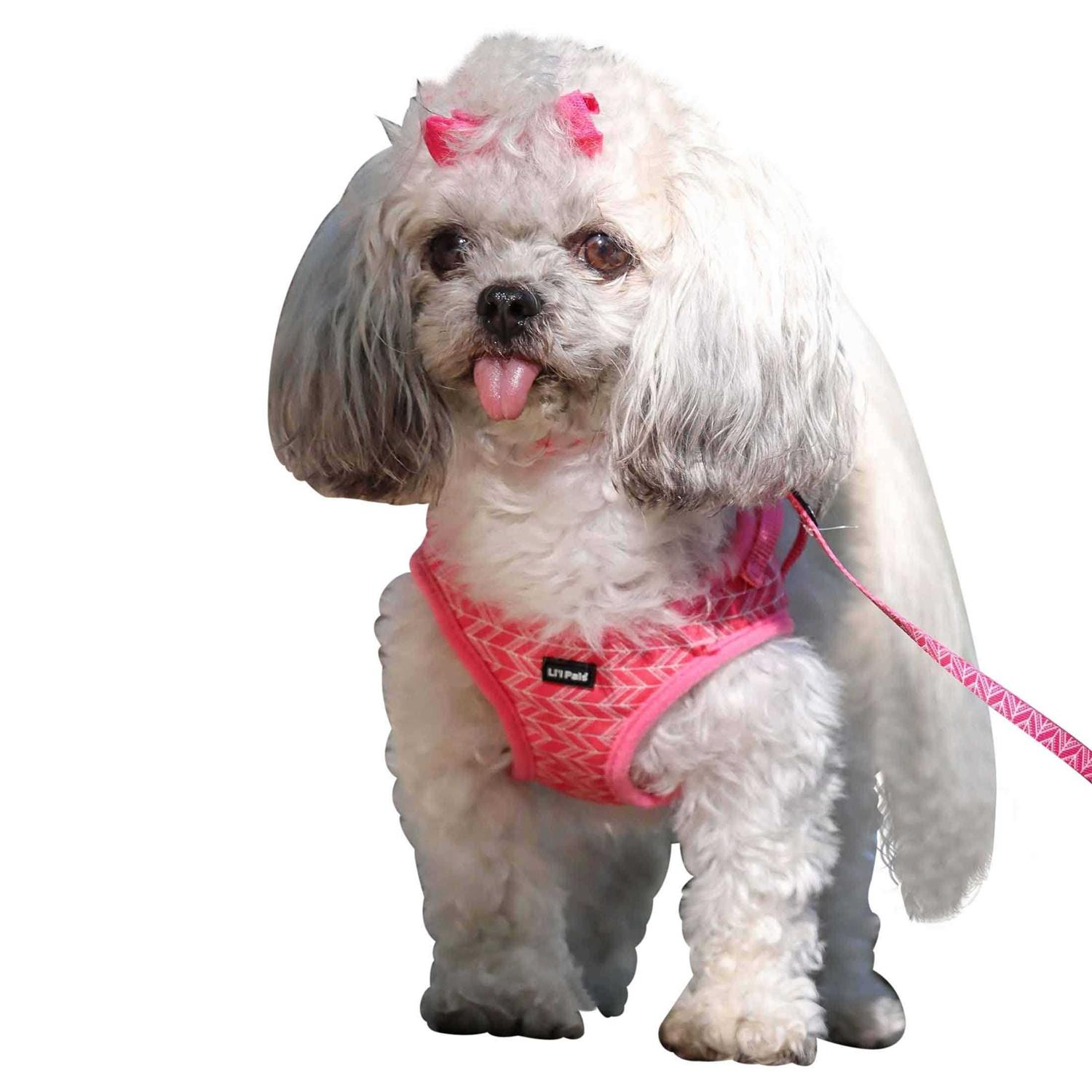 Lil’ Pals Canvas Dog Harness - Healthber