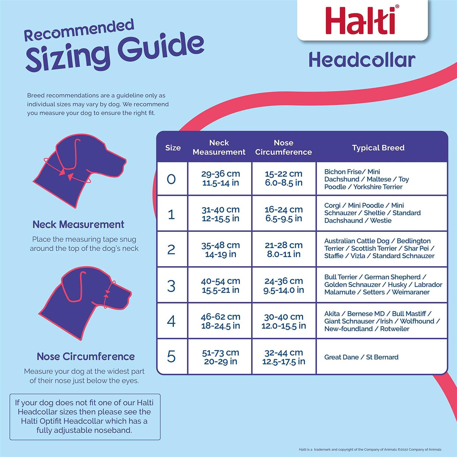Halti Headcollar - Healthber