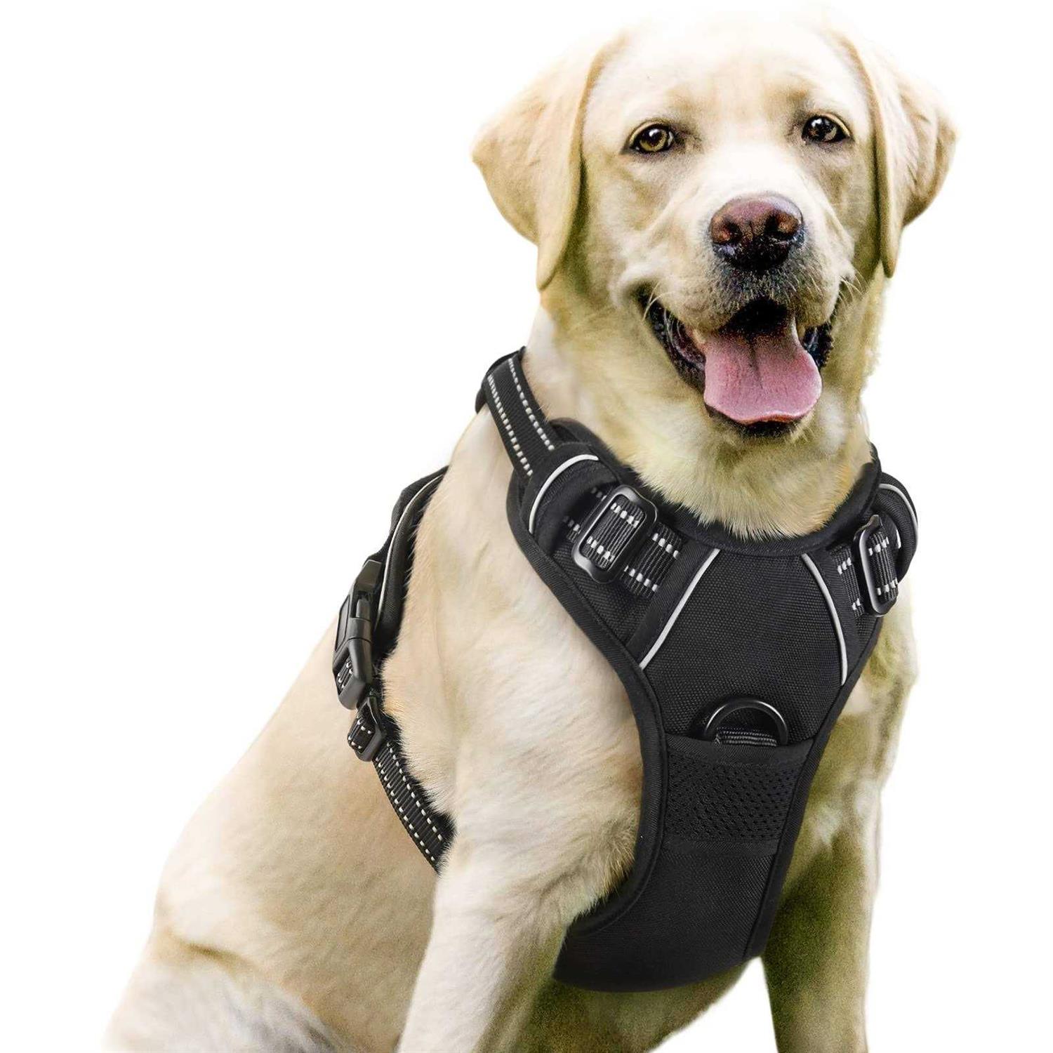 rabbitgoo Dog Harness No Pull Pet Harness with 2 Leash Clips Adjustable Soft Padded Dog Vest - Healthber