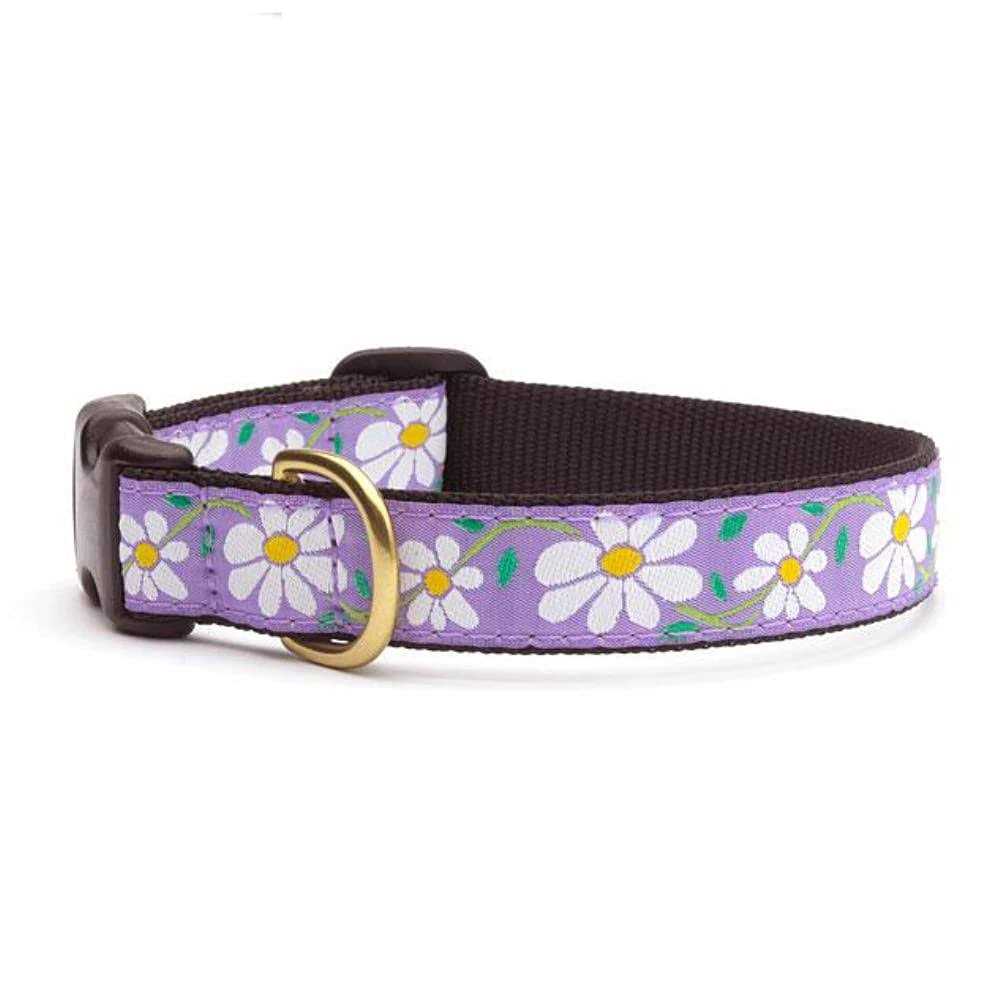 Up Country Daisy Dog Collar - Healthber