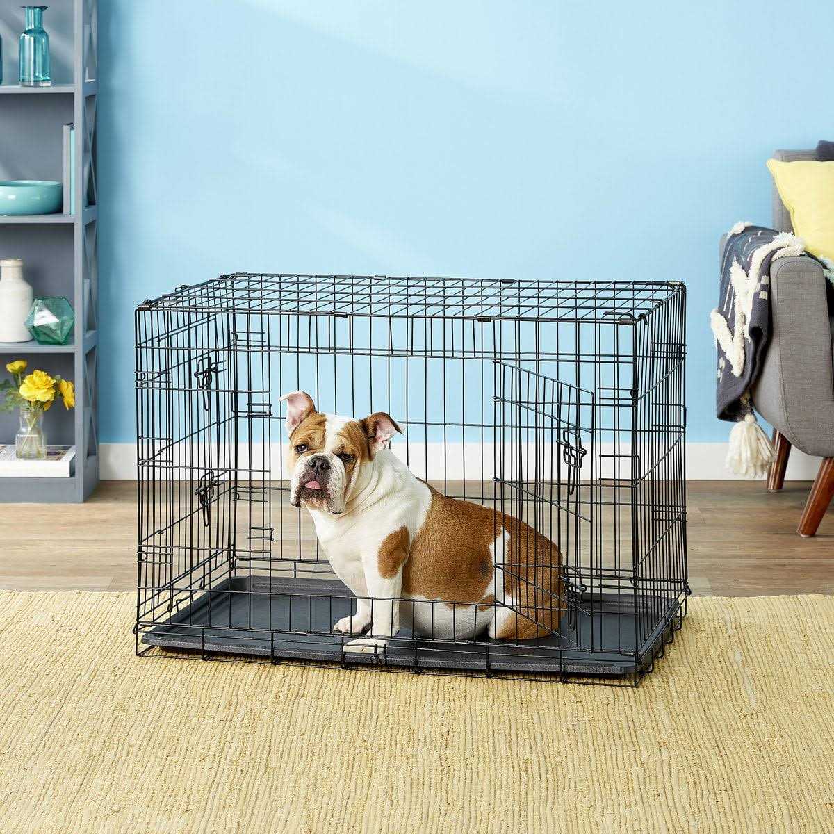 Paws Pals Double-Door Folding Wire Dog Crate - Healthber