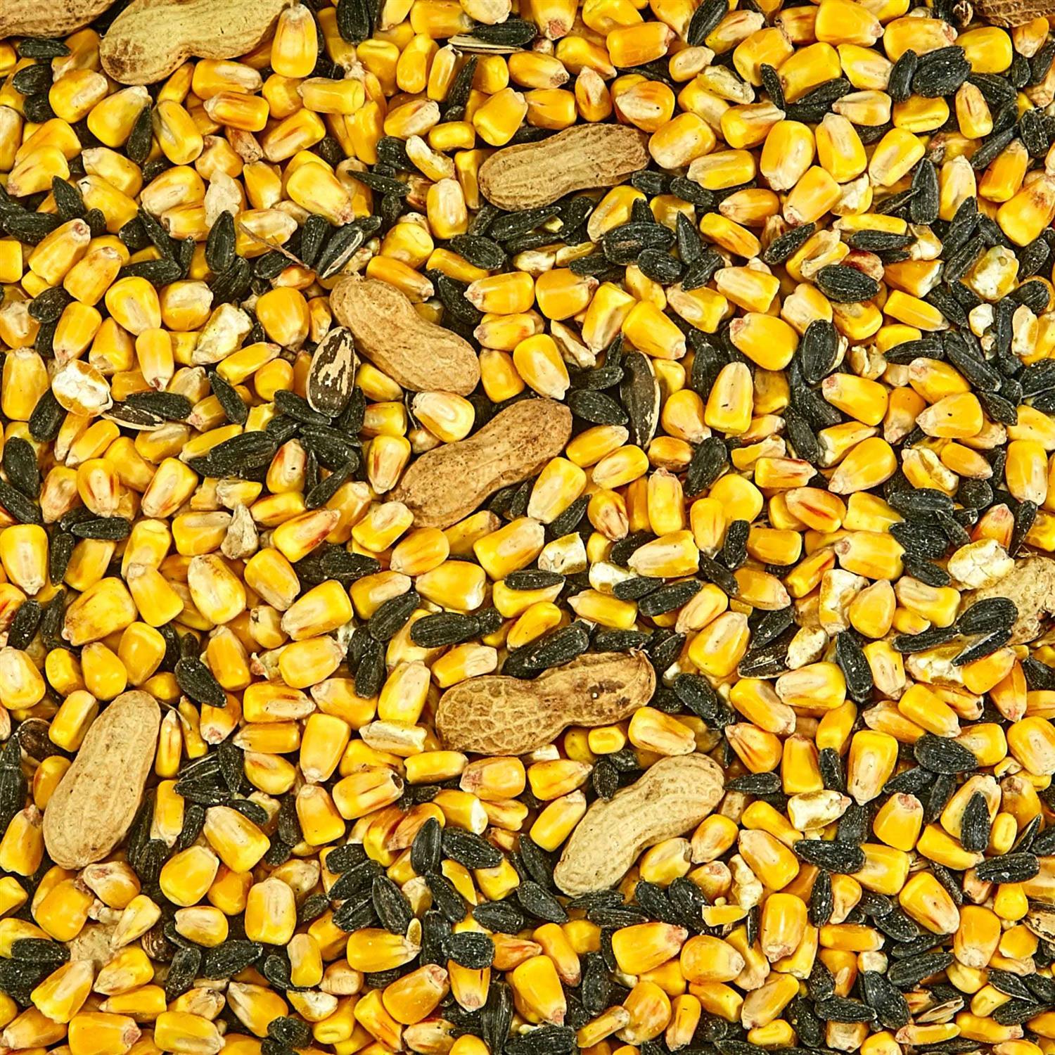 Kaytee Squirrel Critter Food - Healthber