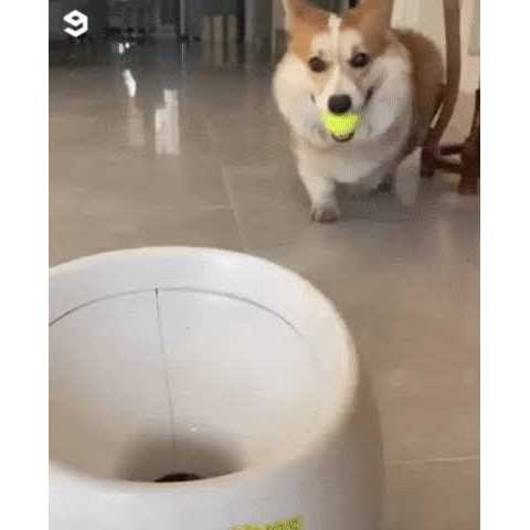 ENIGETA Rechargeable Tennis Ball Launcher for Dogs Elevating Playtime for You and Your Pup - Healthber