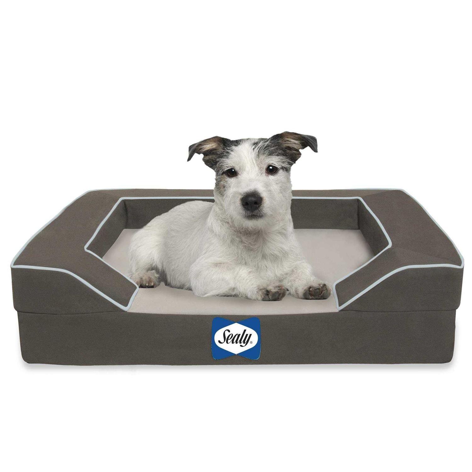 Sealy Lux Orthopedic Memory Foam Dog Bed - Healthber