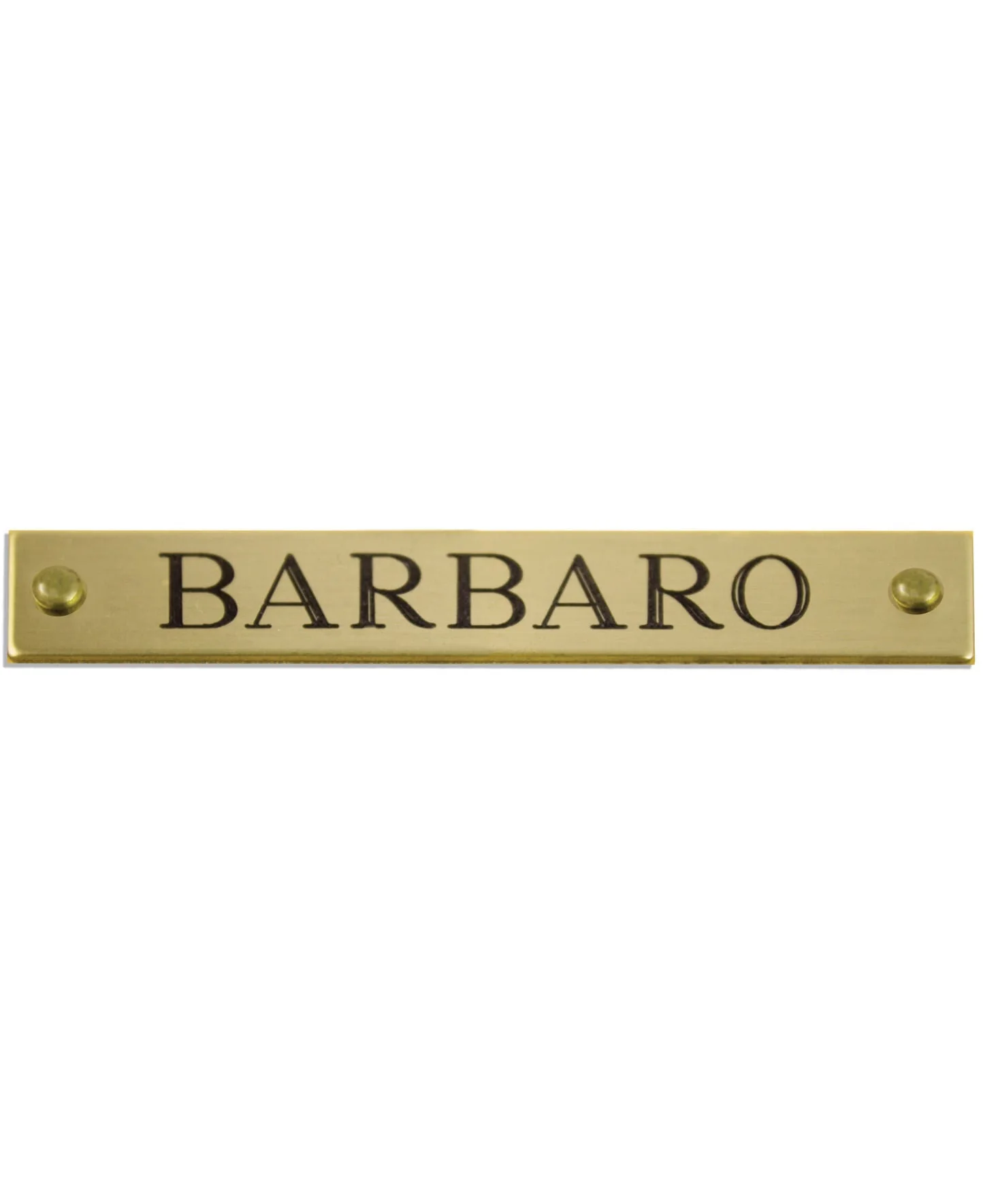 Beveled Brass Halter Plates - Healthber