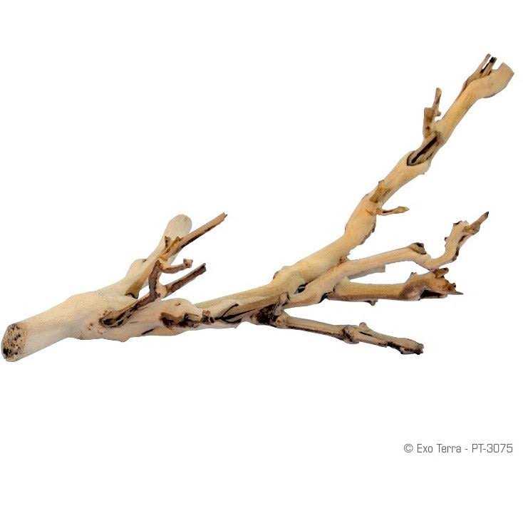 Exo Terra Forest Branch - Healthber