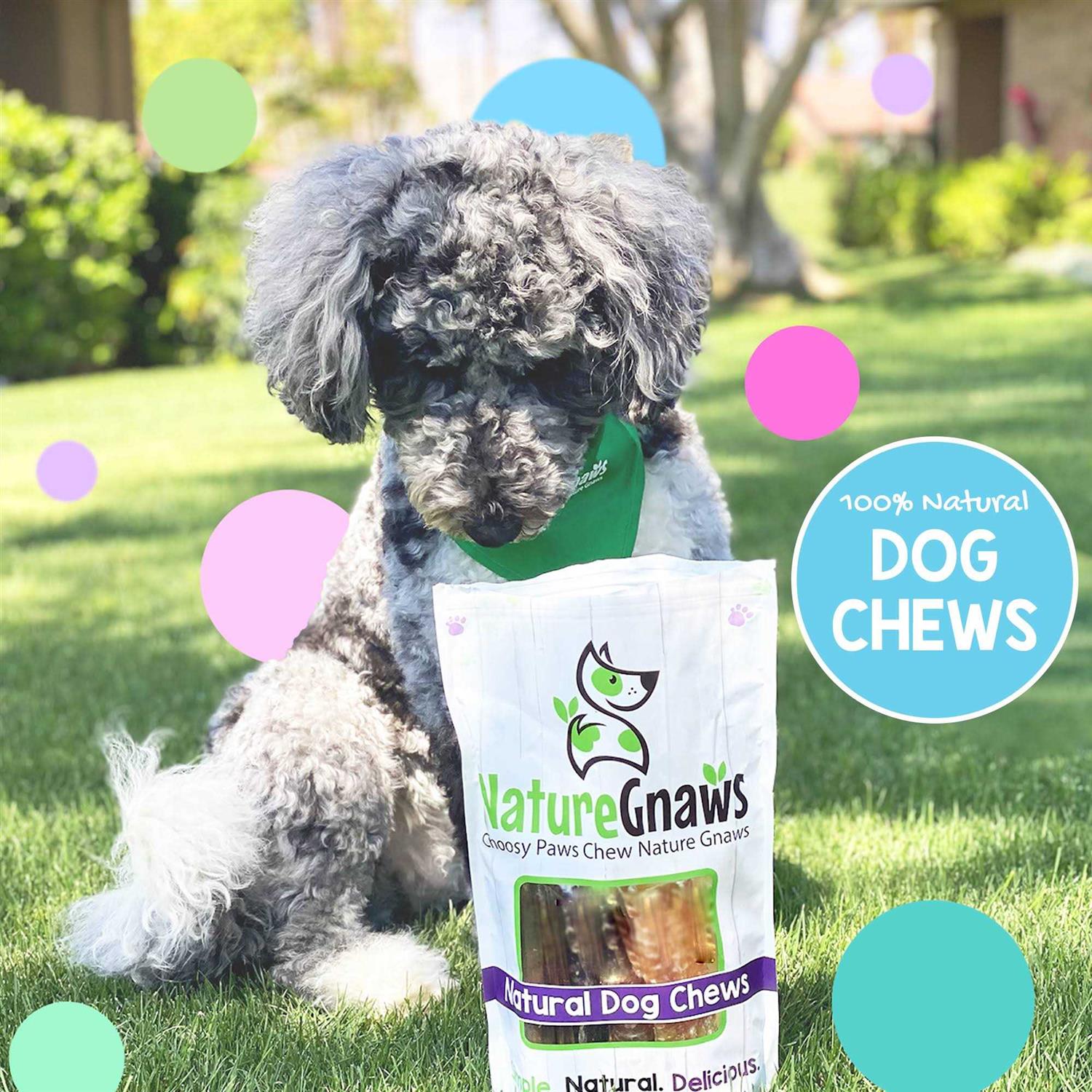 Nature Gnaws Variety Pack Natural Dog Chews - Healthber