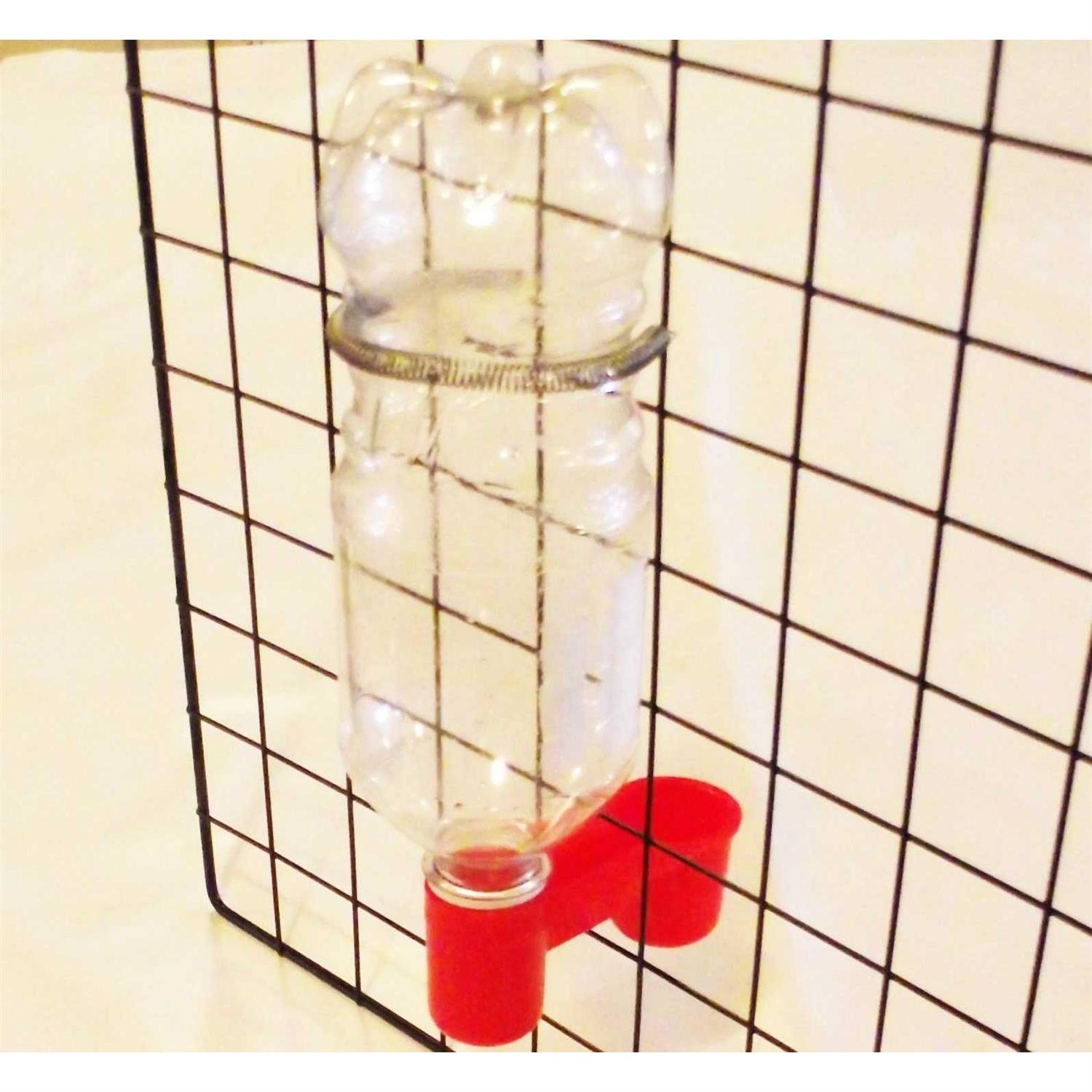 Soda Pop Water Bottle Bird Drinker Cup & Spring - Healthber