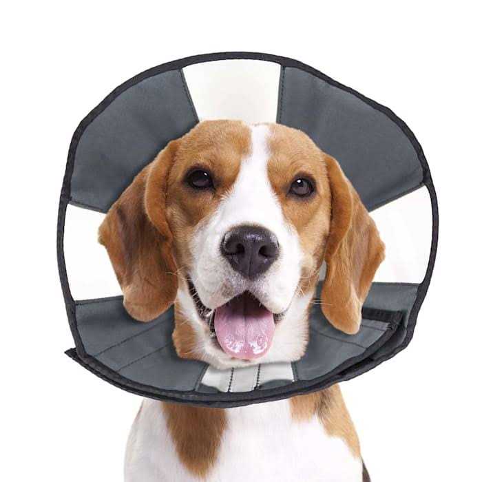 ZenPet Zen Cone Soft Recovery Collar - Healthber