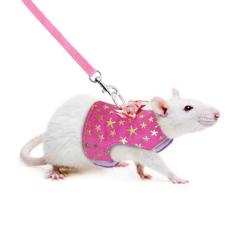 Stock Show Small Pet Outdoor Walking Harness Vest and Leash Set with Cute Bowknot Decor Chest Strap Harness for Rat Ferret Hamster Squirrel Clothes - Healthber