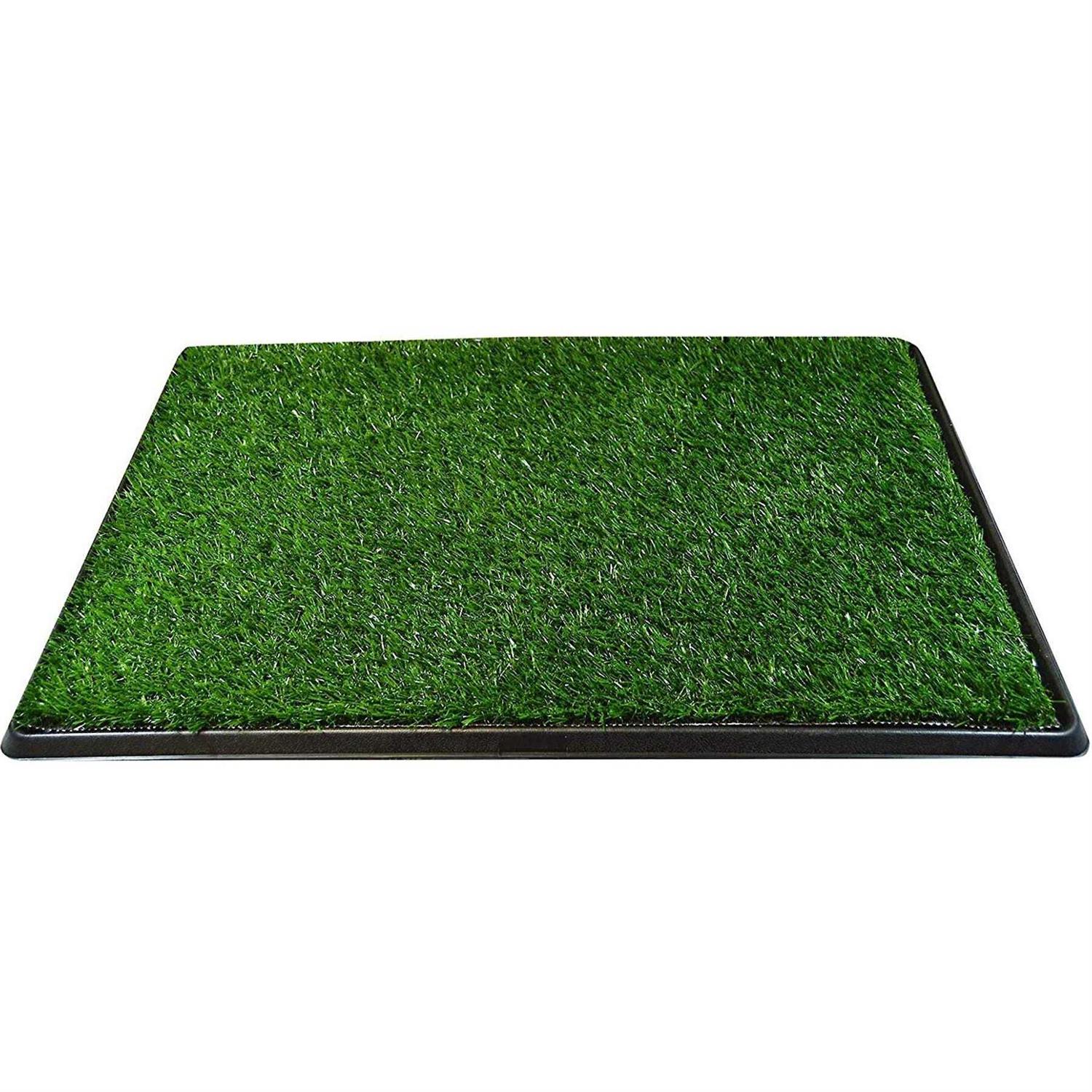 Downtown Pet Supply Dog Grass Pad with Tray, 20 x - Healthber