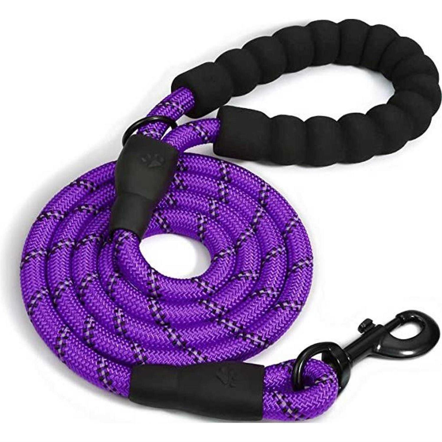 Doggy Tales Braided Dog Leash - Healthber