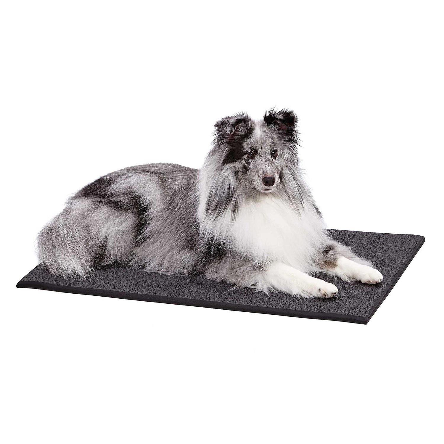 Midwest Homes for Pets Mat30 Cushioned Dog Crate Mat - Healthber