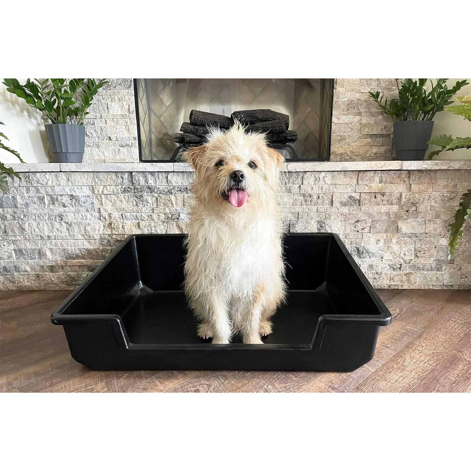 Piggy Poo and Crew Extra Large Litter Box - Healthber