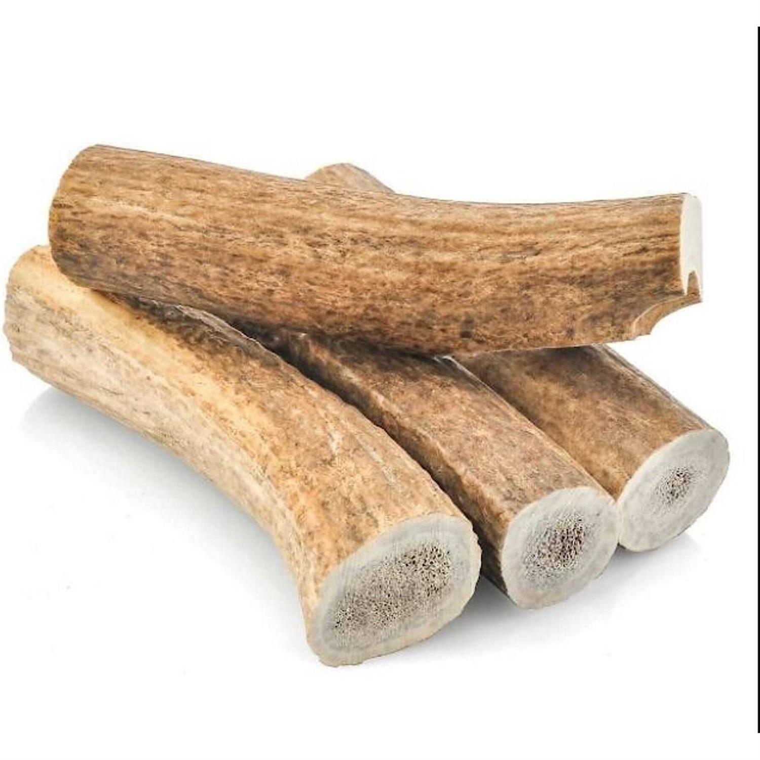 Hotspot Pets All Natural Large Whole Elk Antler Dog Chew - Healthber
