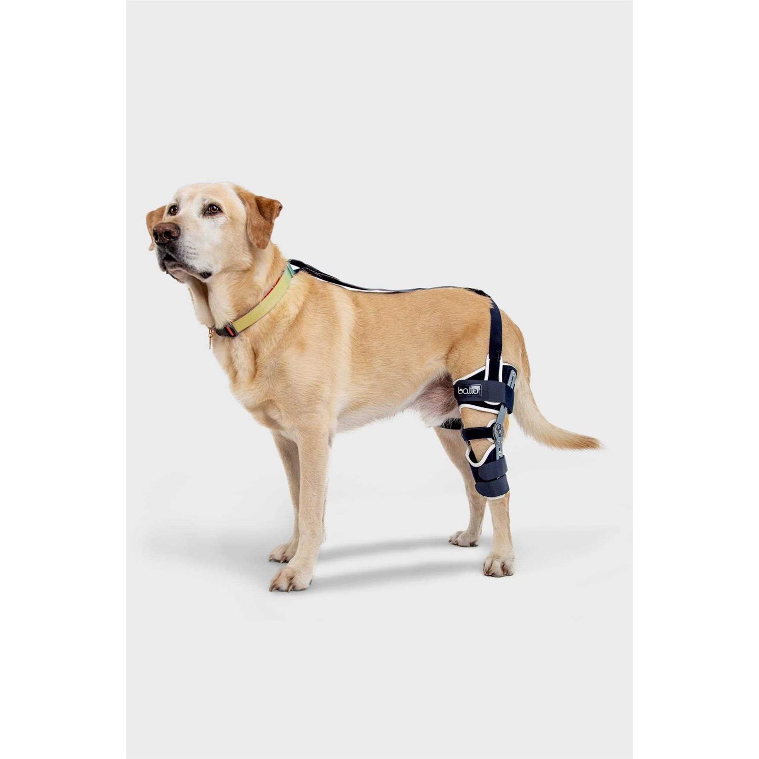 Balto Ligatek Adjustable Hinged Dog Knee Brace - Healthber