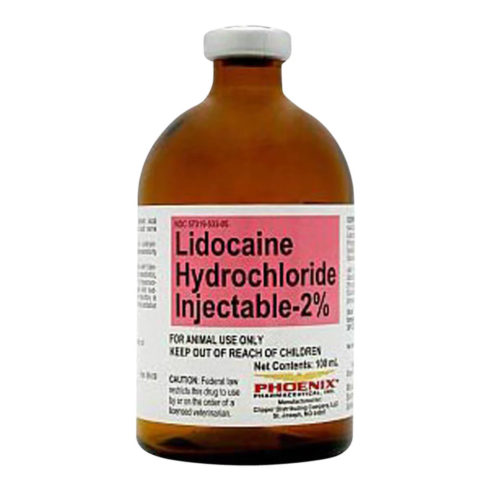 Rx Lidocaine Hydrochloride (Generic) Injectable 2%, 100 ml for Horses & Cattle - Healthber