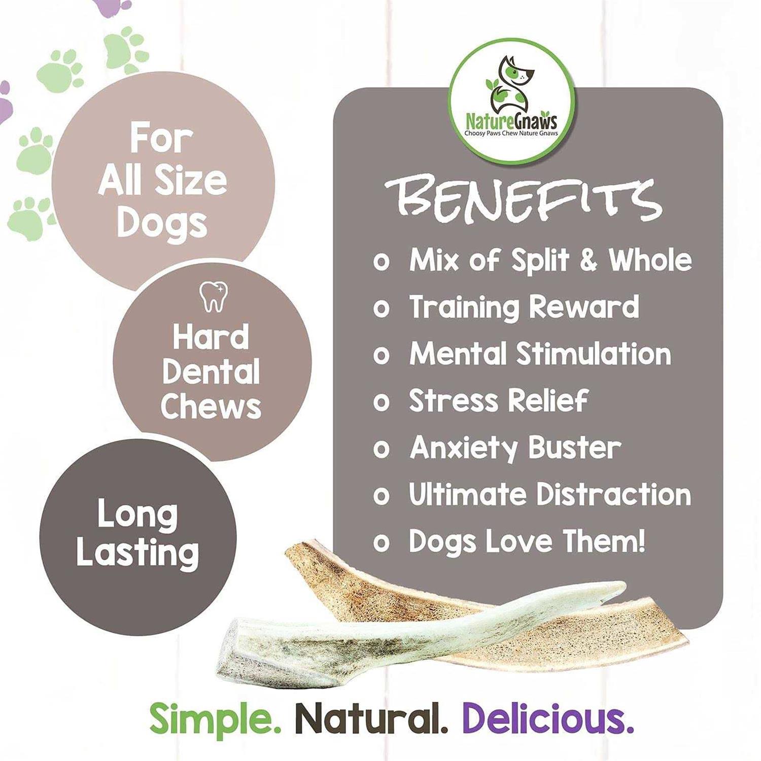 USA Deer Antlers for Small Dogs | Natural Dog Treats | Nature Gnaws - Healthber