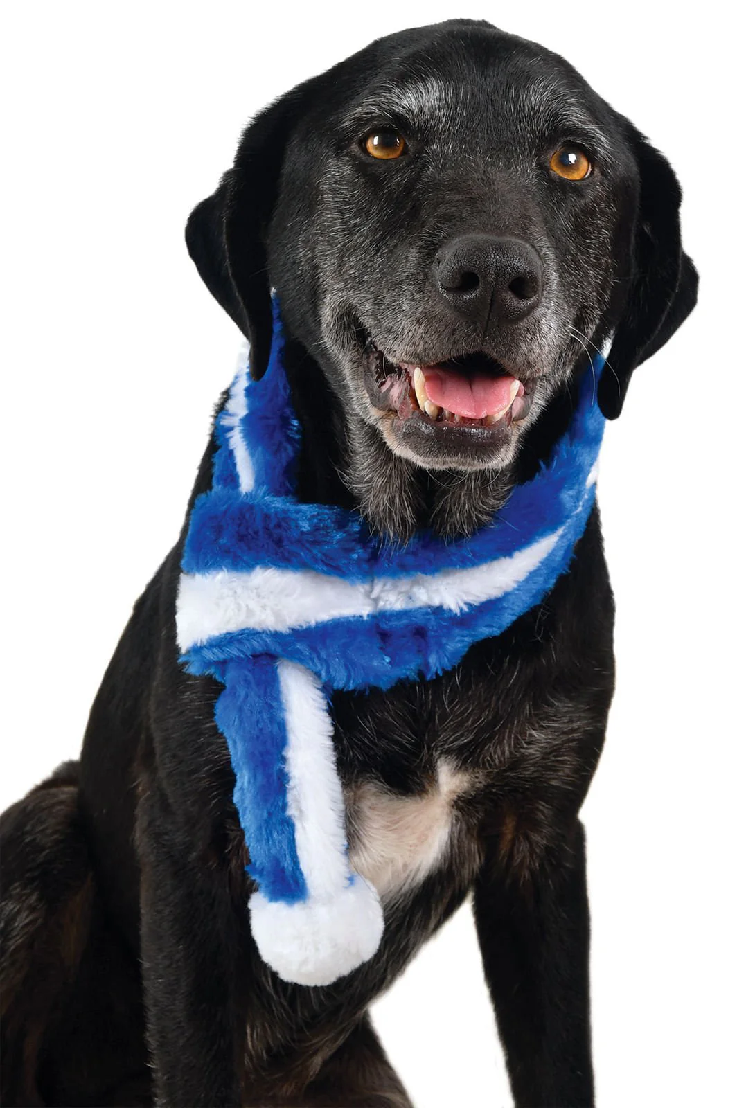 Zippy Paws Blue Scarf - Healthber