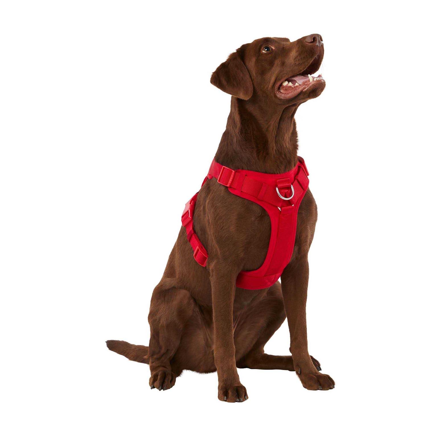 Top Paw Neoprene Comfort Dog Harness - Healthber