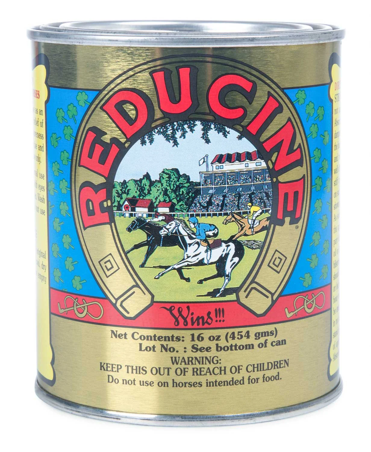 Reducine Absorbent, 16 oz - Healthber