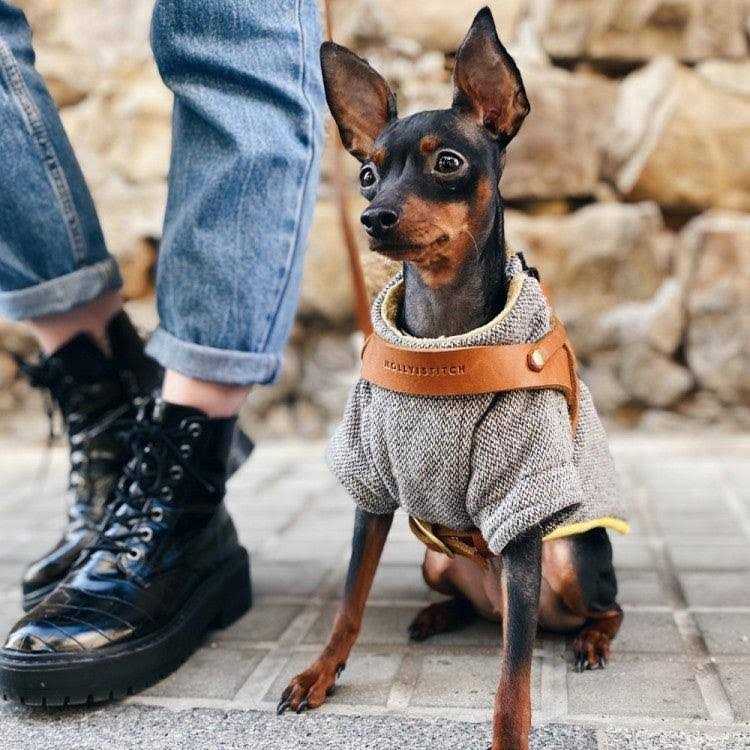 Butter Leather Dog Harness Molly And Stitch US - Healthber