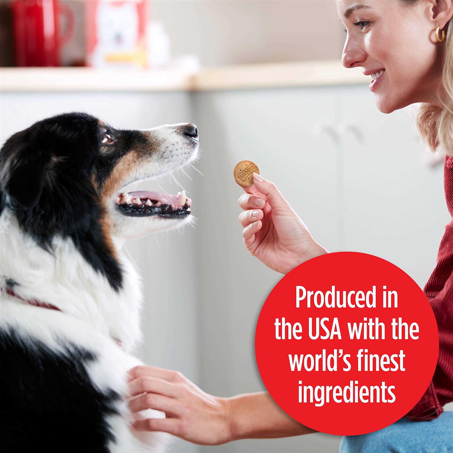 Milk-Bone Stacked Molasses & Peanut Butter Dog Treats - Healthber