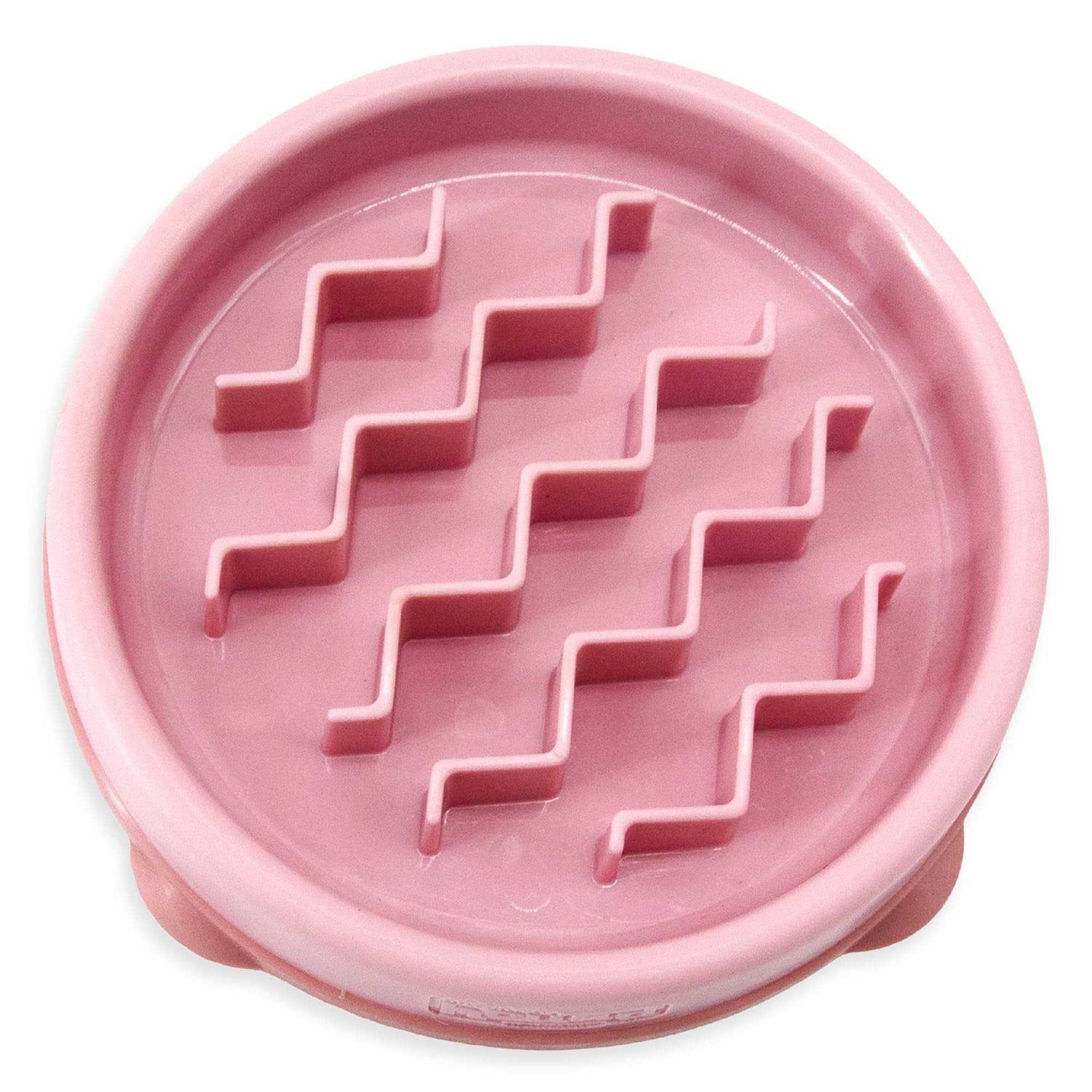 Outward Hound Fun Feeder Slo Bowl - Healthber