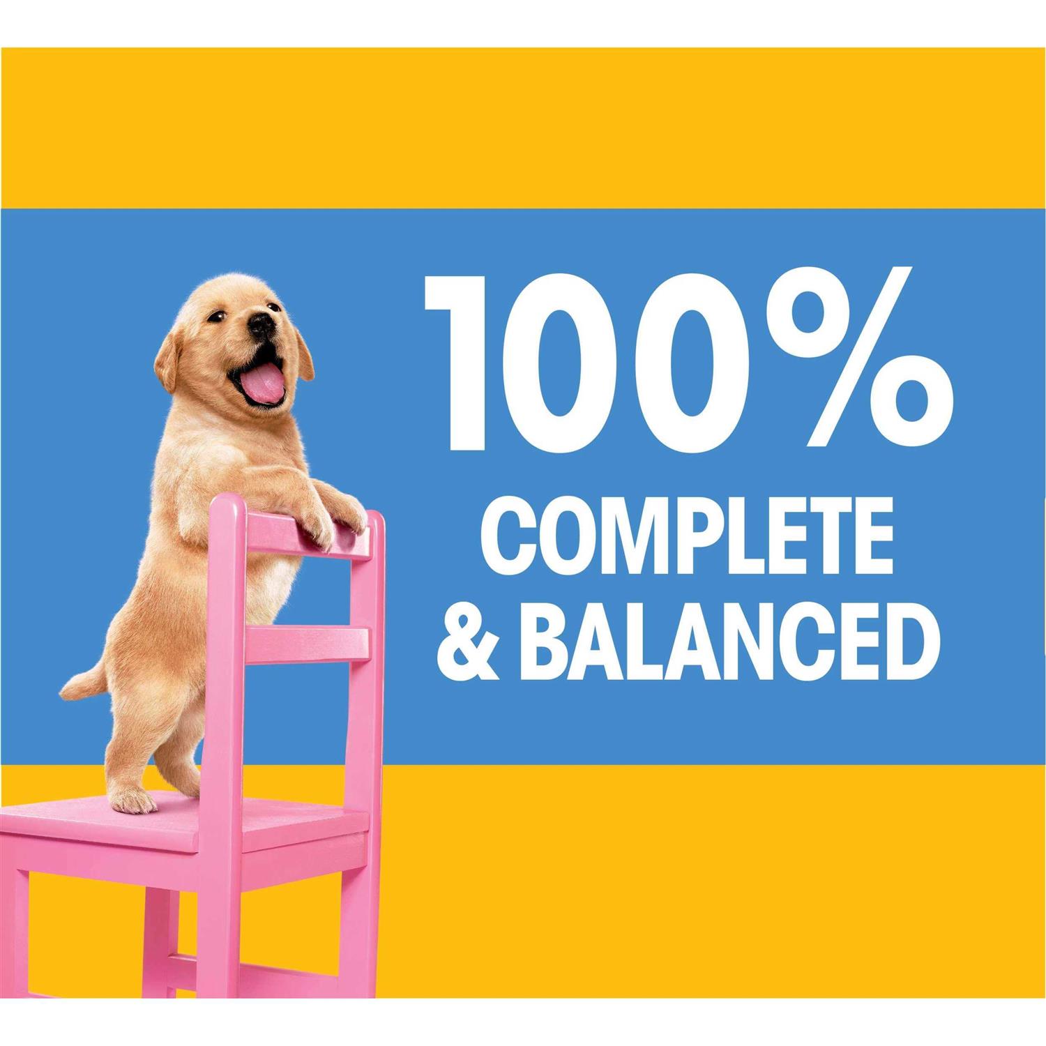 Pedigree Puppy Growth & Protection Dry Dog Food Chicken & Vegetable Flavor - Healthber