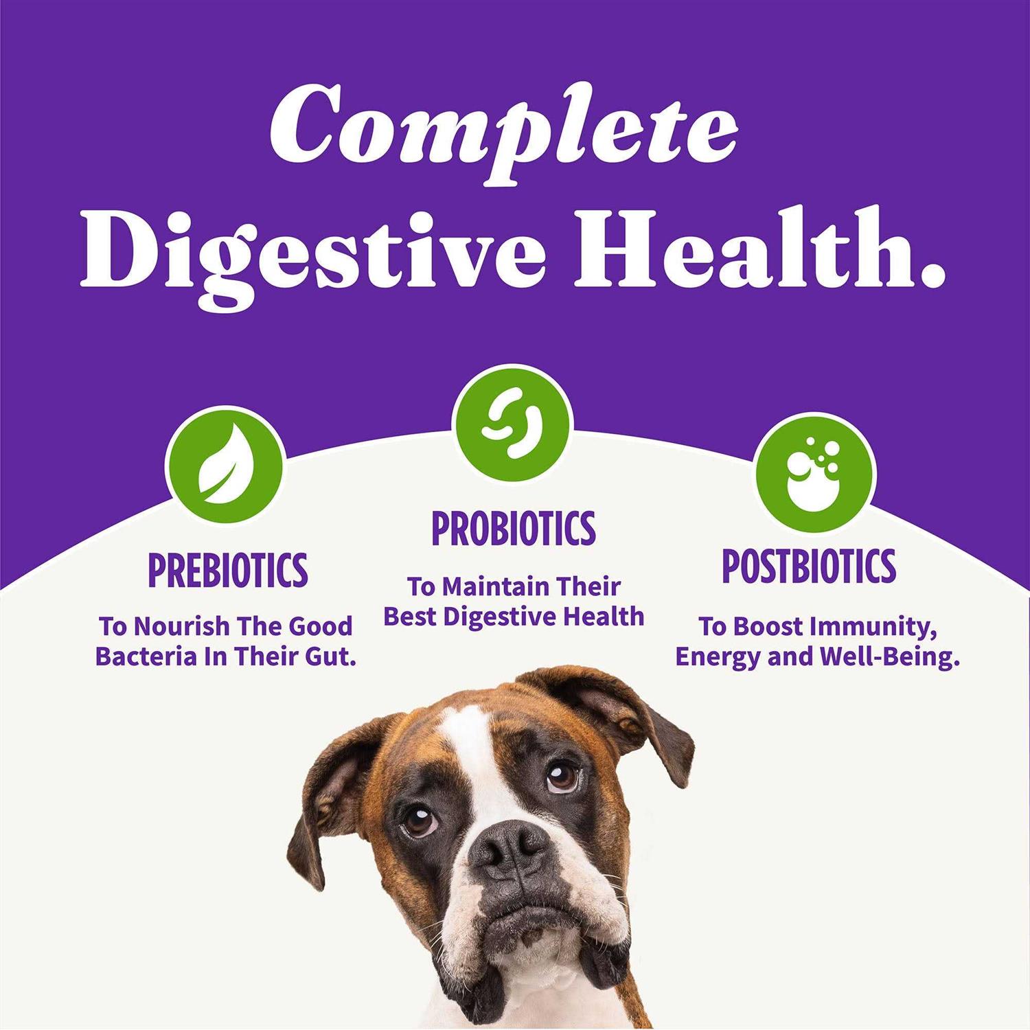 Halo Holistic Vegan Plant-Based Recipe with Superfoods Adult Dry Dog Food - Healthber