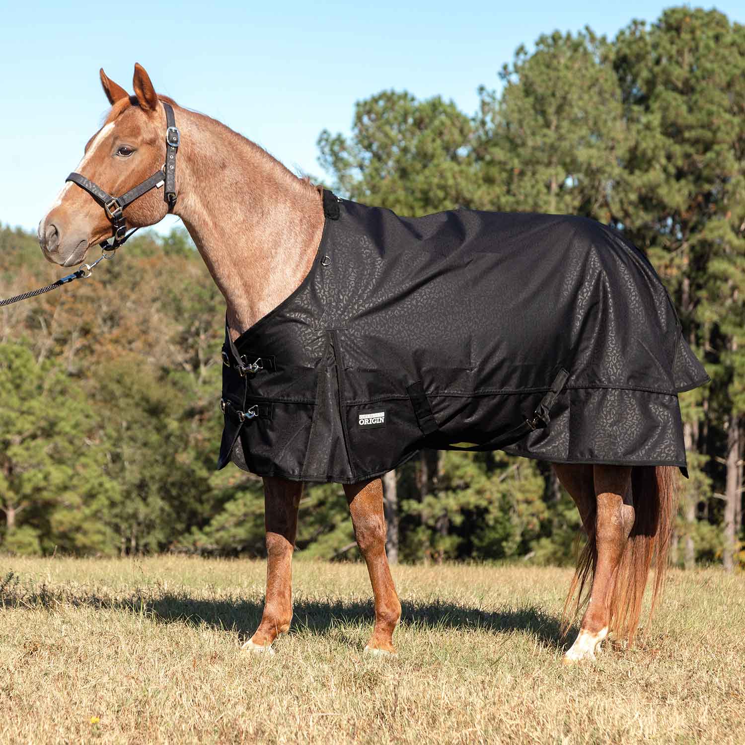 Poplar Head Origin 600 Denier Turnout Sheet, 0 Gram, Covert Cheetah - Healthber
