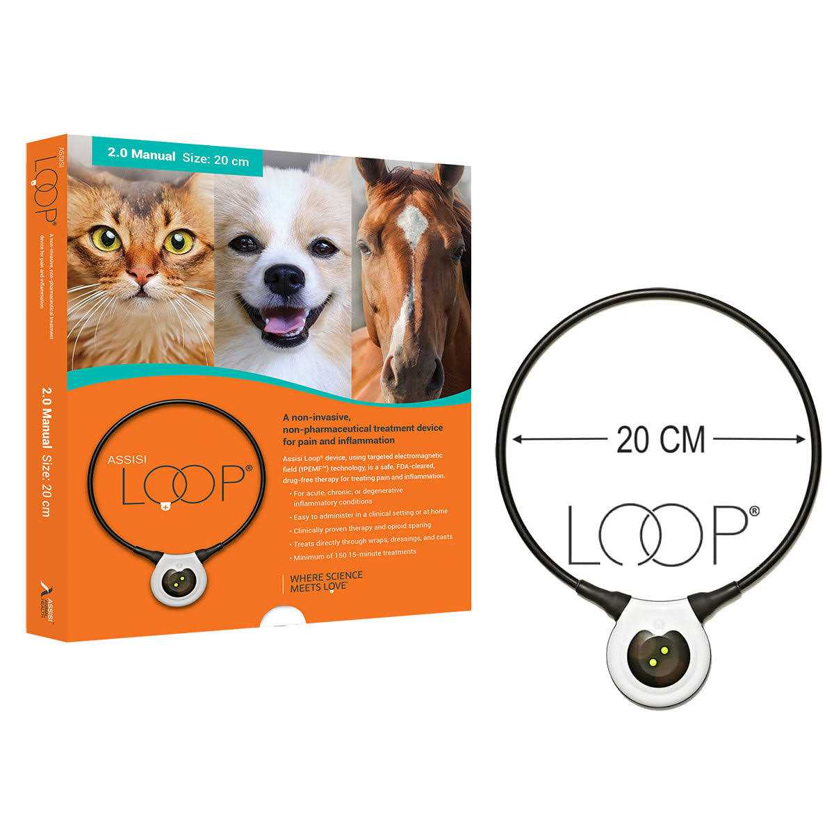 Assisi Loop 2.0 Manual - Healthber