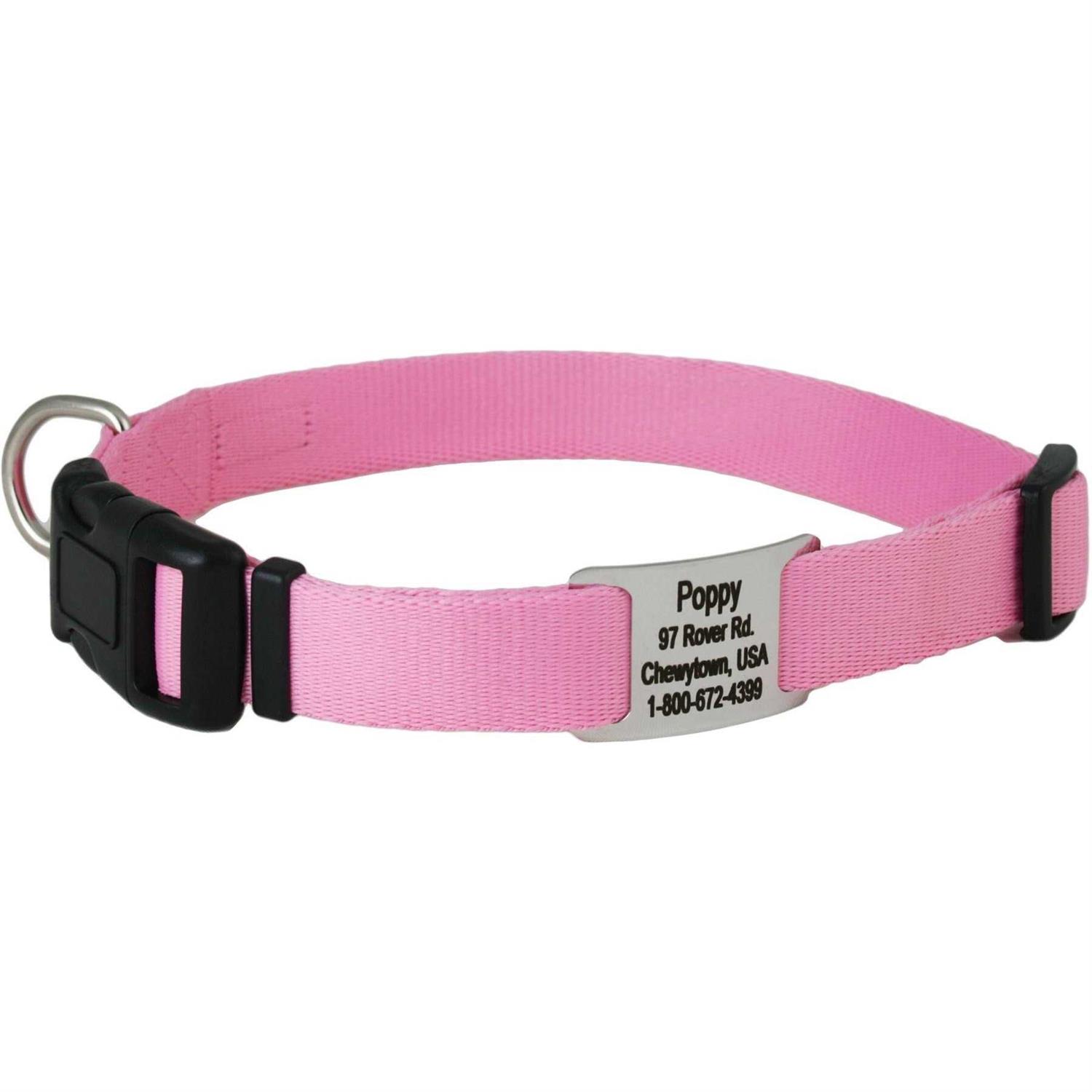 GoTags Adjustable Nameplate Personalized Dog Collar - Healthber