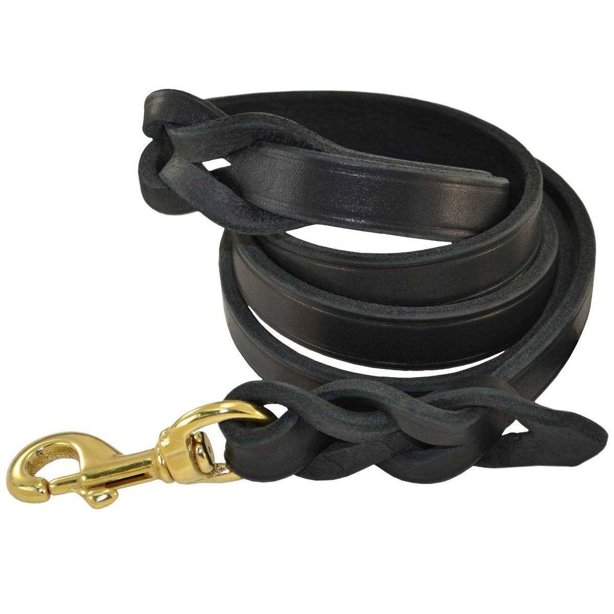Signature k-9 Braided Leather Leash - Healthber