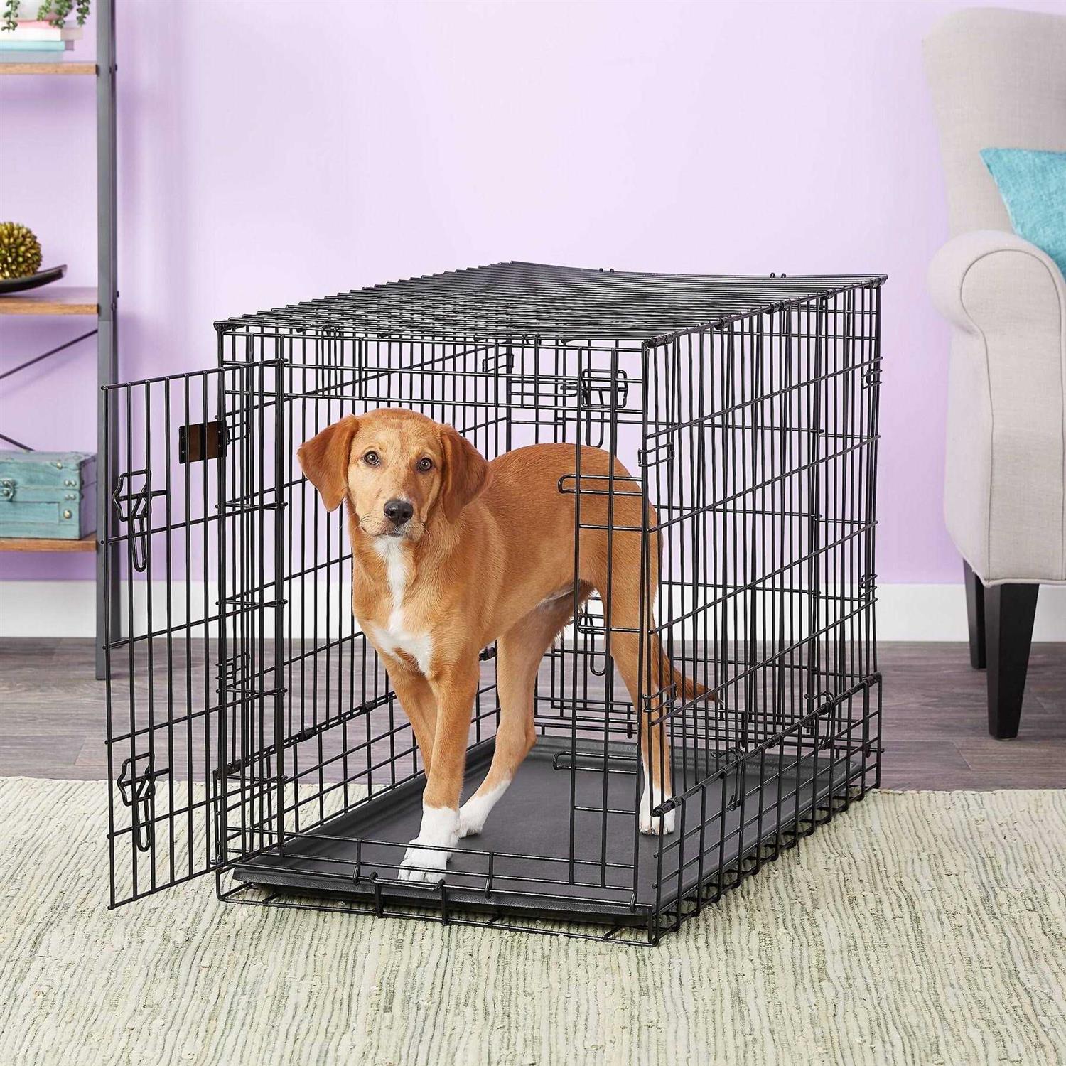 Midwest Side by Side Double Door SUV Dog Crate - Healthber