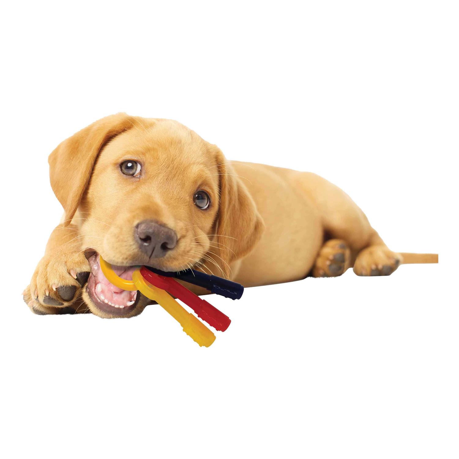 Nylabone Puppy Chew Teething Keys - Healthber