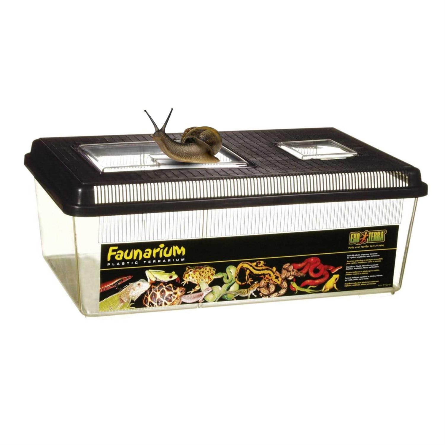 Exo Terra Faunarium Flat Home - Healthber