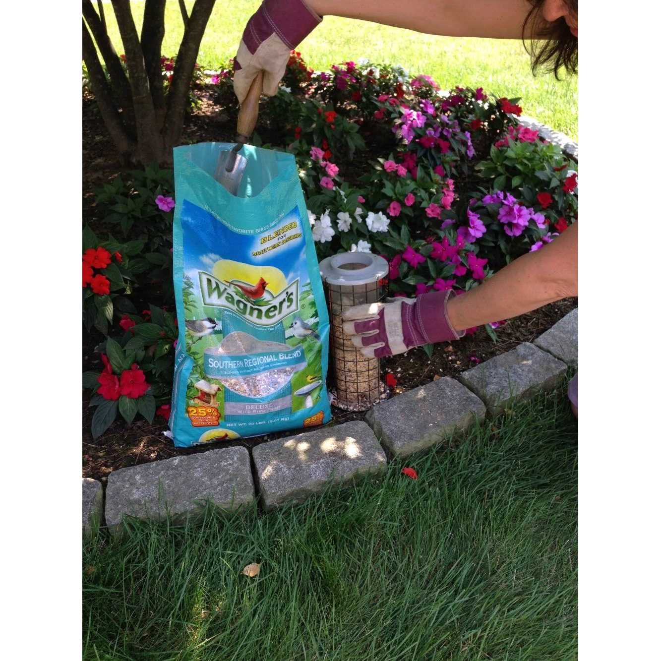 Wagner’s 62012 Southern Regional Blend Wild Bird Food - Healthber
