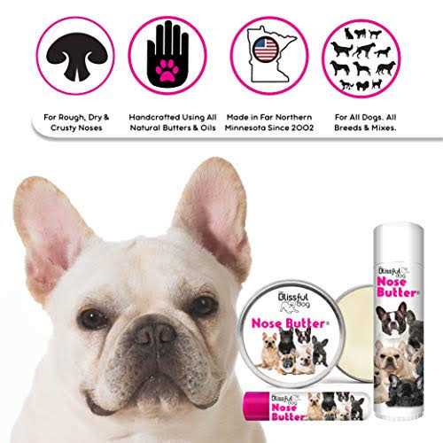 The Blissful Dog Bulldog Unscented Nose Butter - Healthber