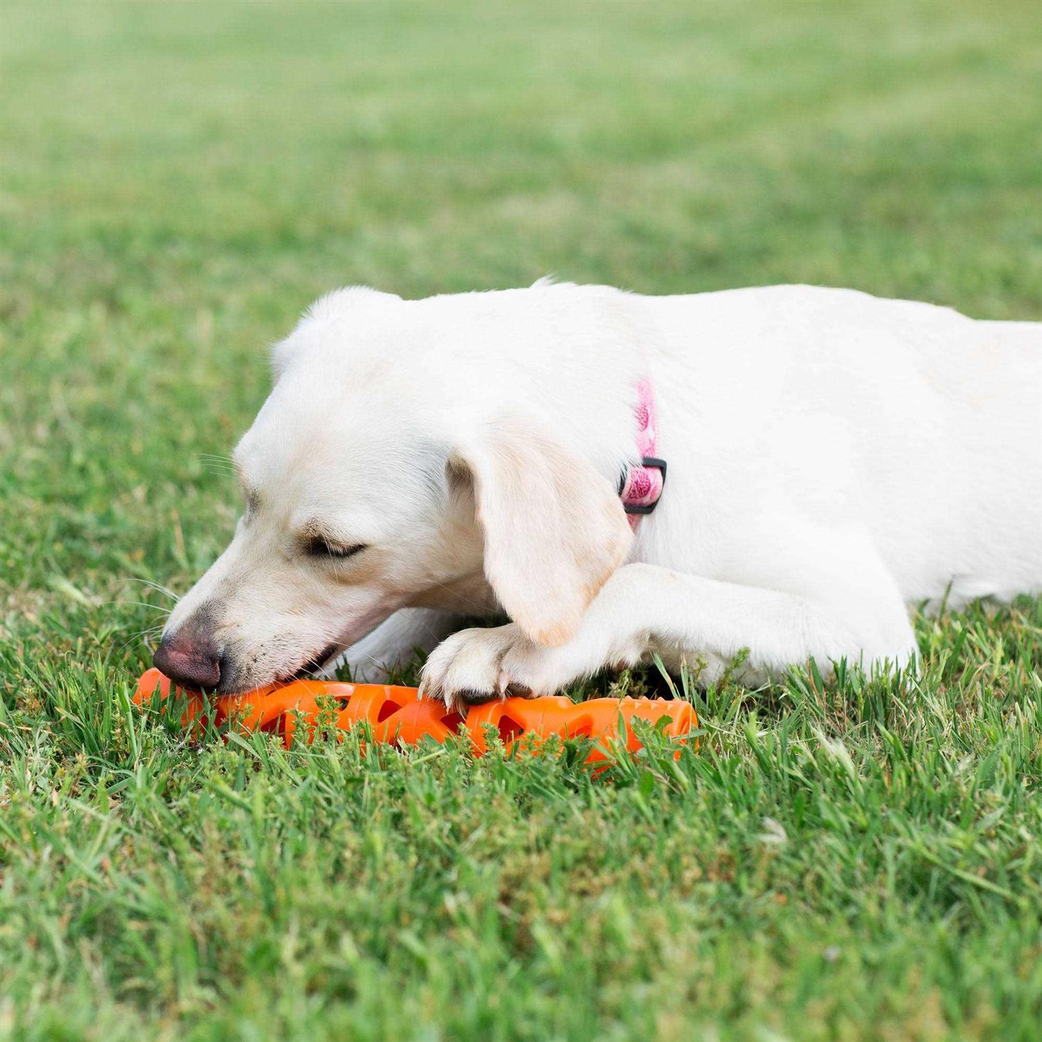 Chuckit! Air Fetch Stick Dog Toy - Healthber