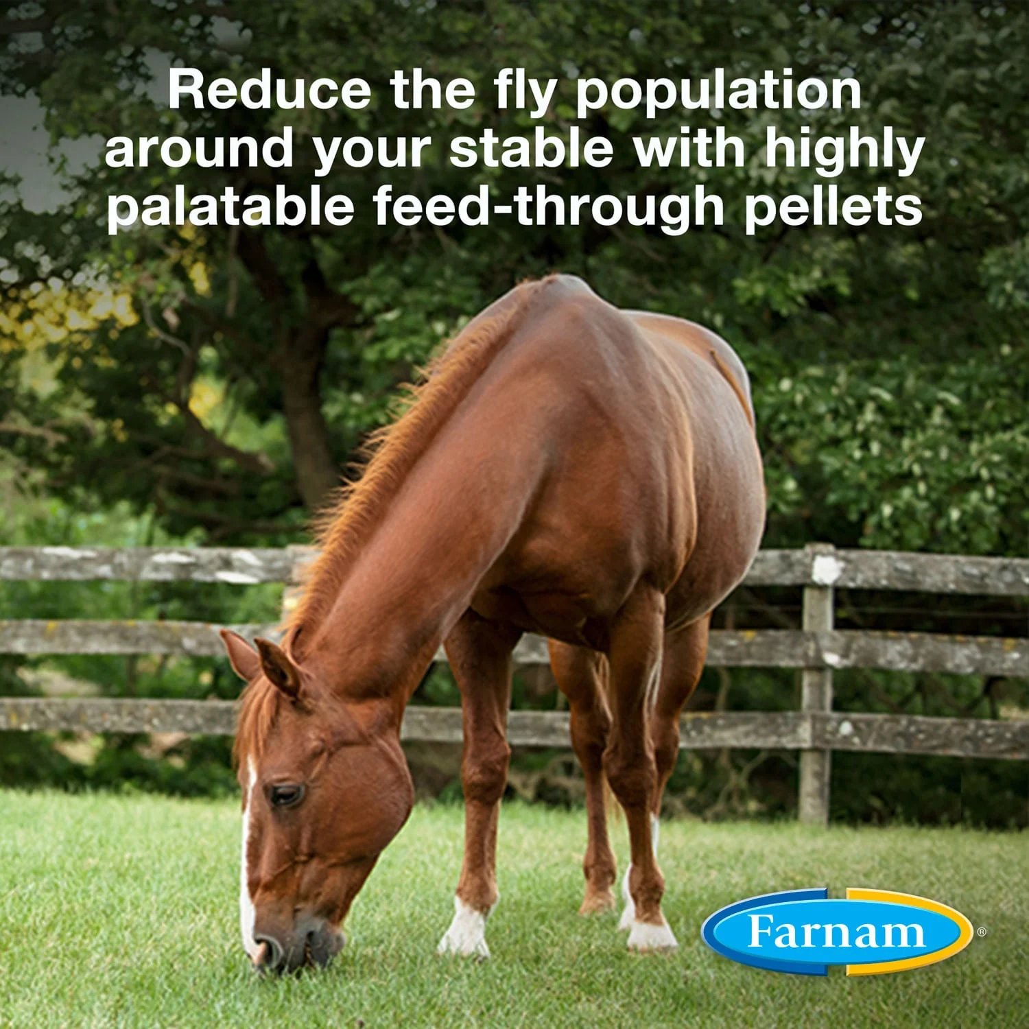 SimpliFly Feed-Thru Fly Control - Healthber