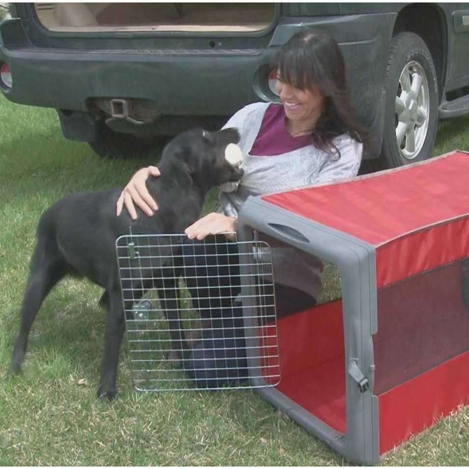 SportPet Designs Sportpet Pop up Travel Crate - Healthber