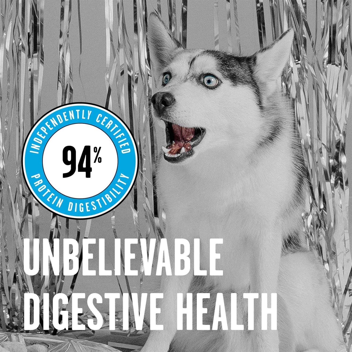 Bixbi Rawbble Chicken Freeze-Dried Dog Food - Healthber
