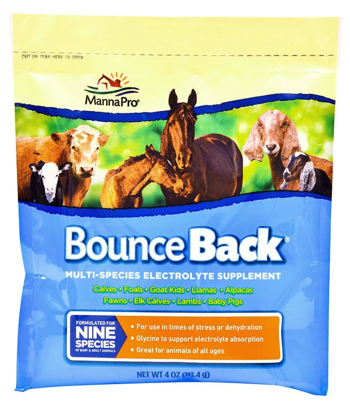 Bounce Back? Multi-Species Electrolyte Supplement - Healthber