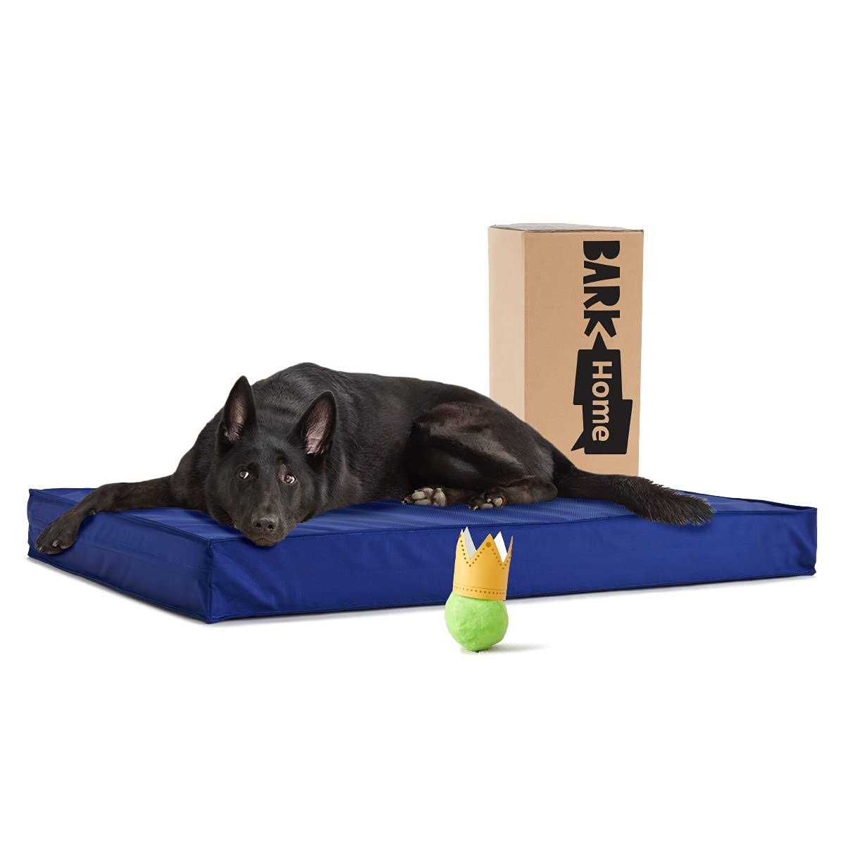 Barkbox Outdoor Dog Bed Waterproof Dog or Cat Mattress Bed with Removable Cover - Healthber