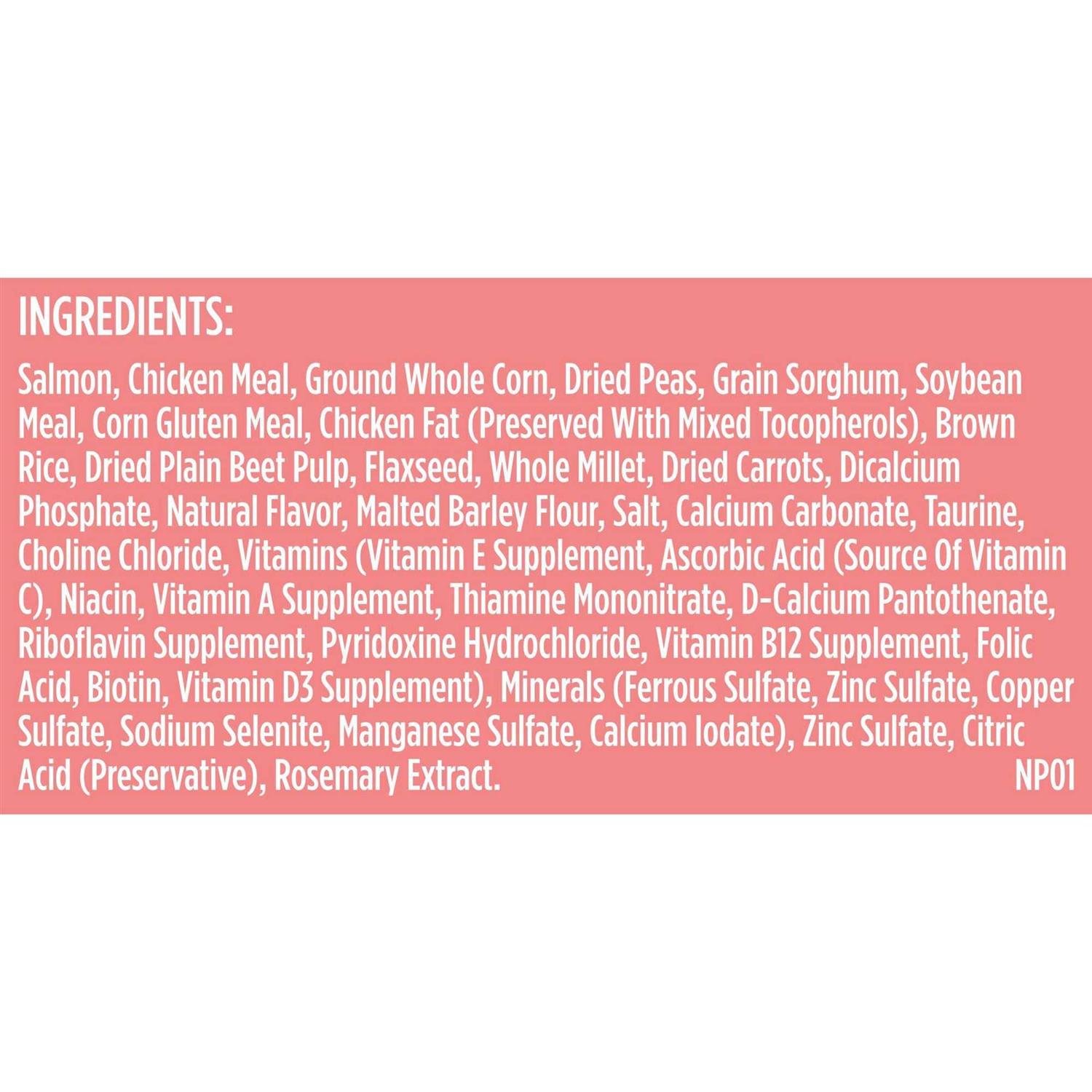Rachael Ray Nutrish Salmon Veggies & Brown Recipe Dry Dog Food - Healthber
