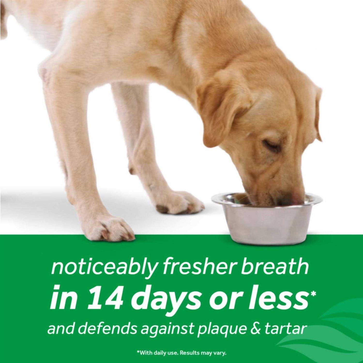Tropiclean Fresh Breath Oral Care Dog Water Additive - Healthber