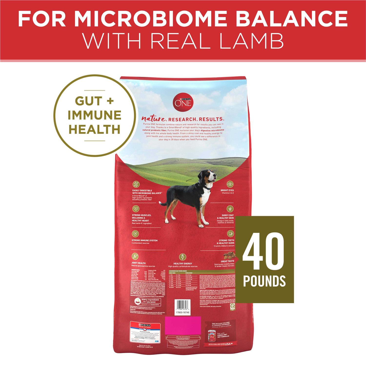 Purina ONE SmartBlend Lamb & Rice Dry Dog Food - Healthber