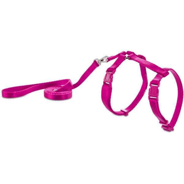 YOULY Harness - Healthber